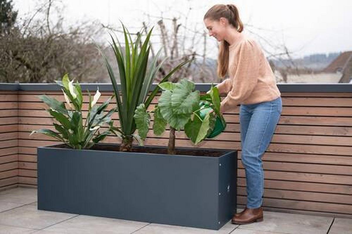 Pflanzentopf Pflanzkasten 150x50x50 - Anthrazit, Basics, Metall (50/50/150cm)