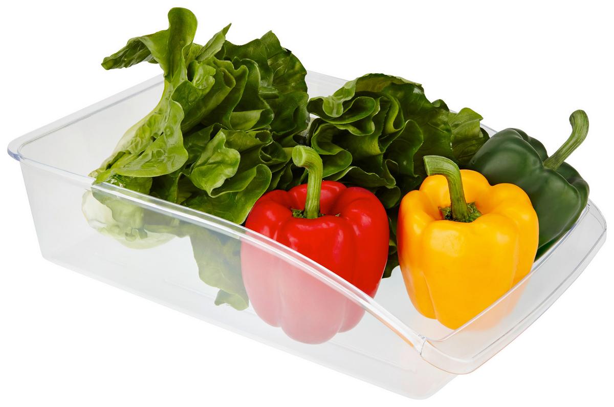 Kühlschrankbox Anett Transparent 33x23x8 cm - Transparent, KONVENTIONELL, Kunststoff (33/23/8cm) - Luca Bessoni