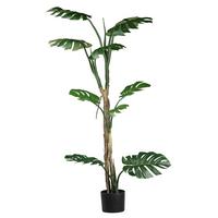 Umělá rostlina Filodendron Monstera, V: 175cm - černá/zelená, Basics, plast (175cm)