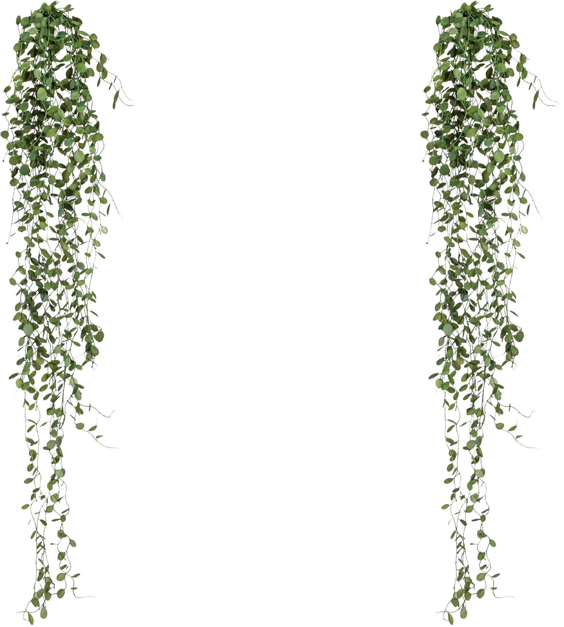 Kunstpflanze H: 80 Cm - Dunkelgrün, Design, Kunststoff (80cm) - P & B