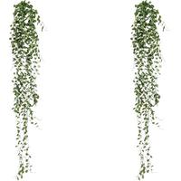 Kunstpflanze H: 80 Cm - Dunkelgrün, Design, Kunststoff (80cm) - P & B