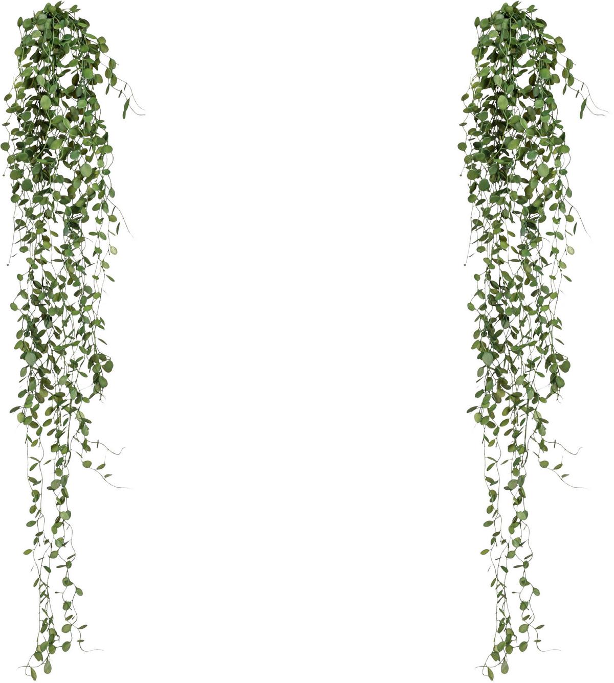 Kunstpflanze H: 80 Cm - Dunkelgrün, Design, Kunststoff (80cm) - P & B