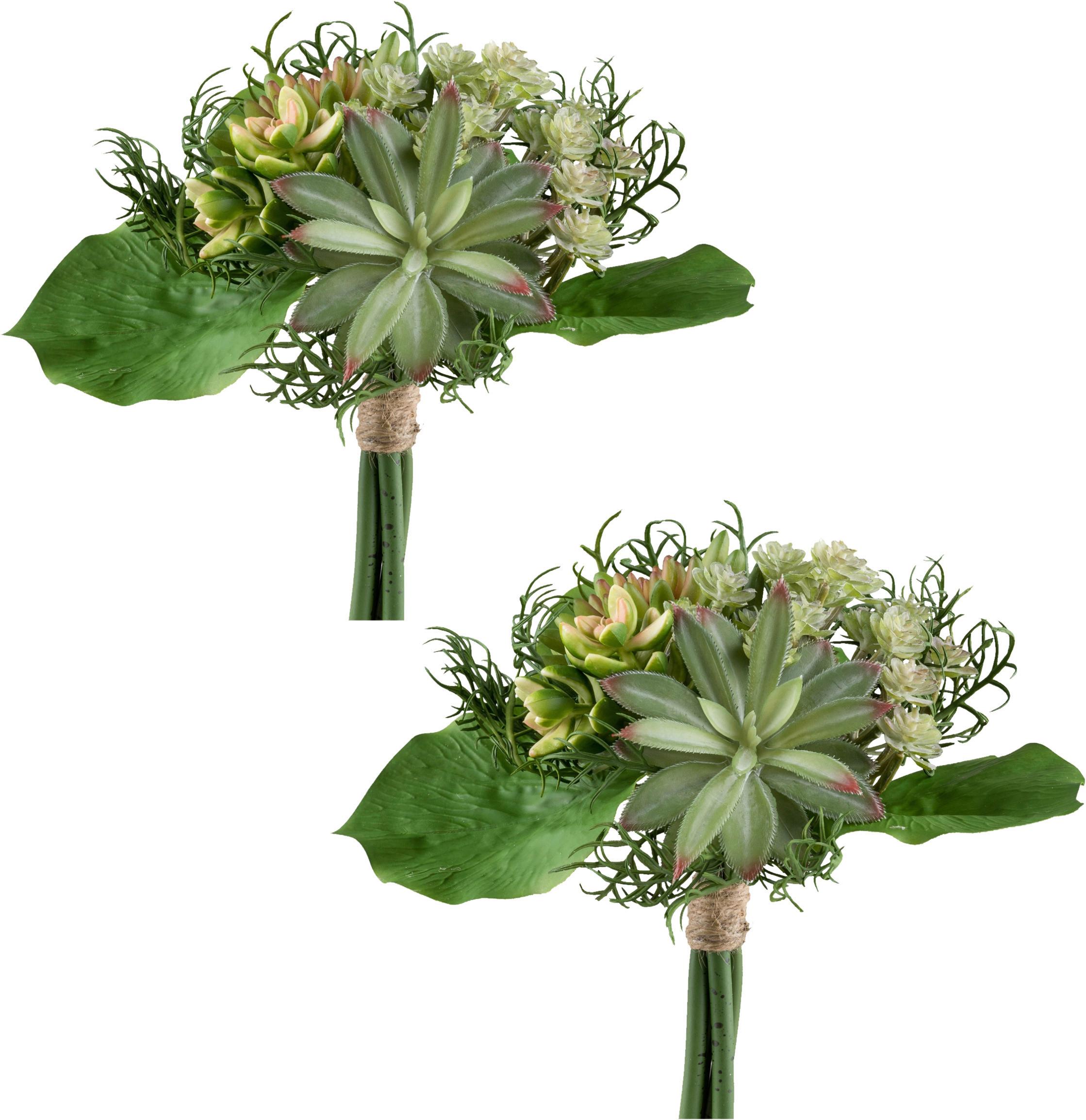 Kunstpflanze Sukkulenten Grün/Rosa, 24 cm - Rosa/Grün, Design, Kunststoff (24cm) - P & B