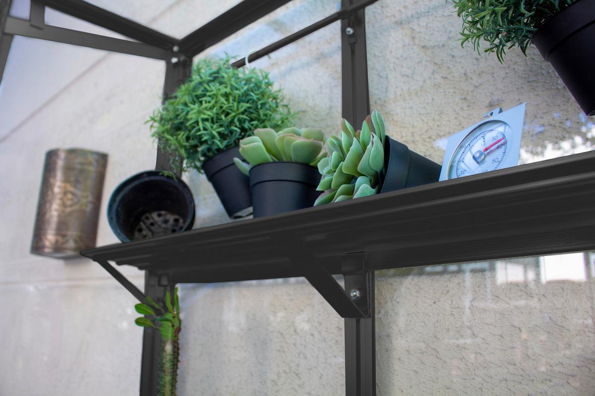 Balkon-gewächshaus Polis 350 Schwarz Metall/glas H: 165,5cm - Schwarz, Basics, Glas/Metall (81,2/165,5/81,2cm)