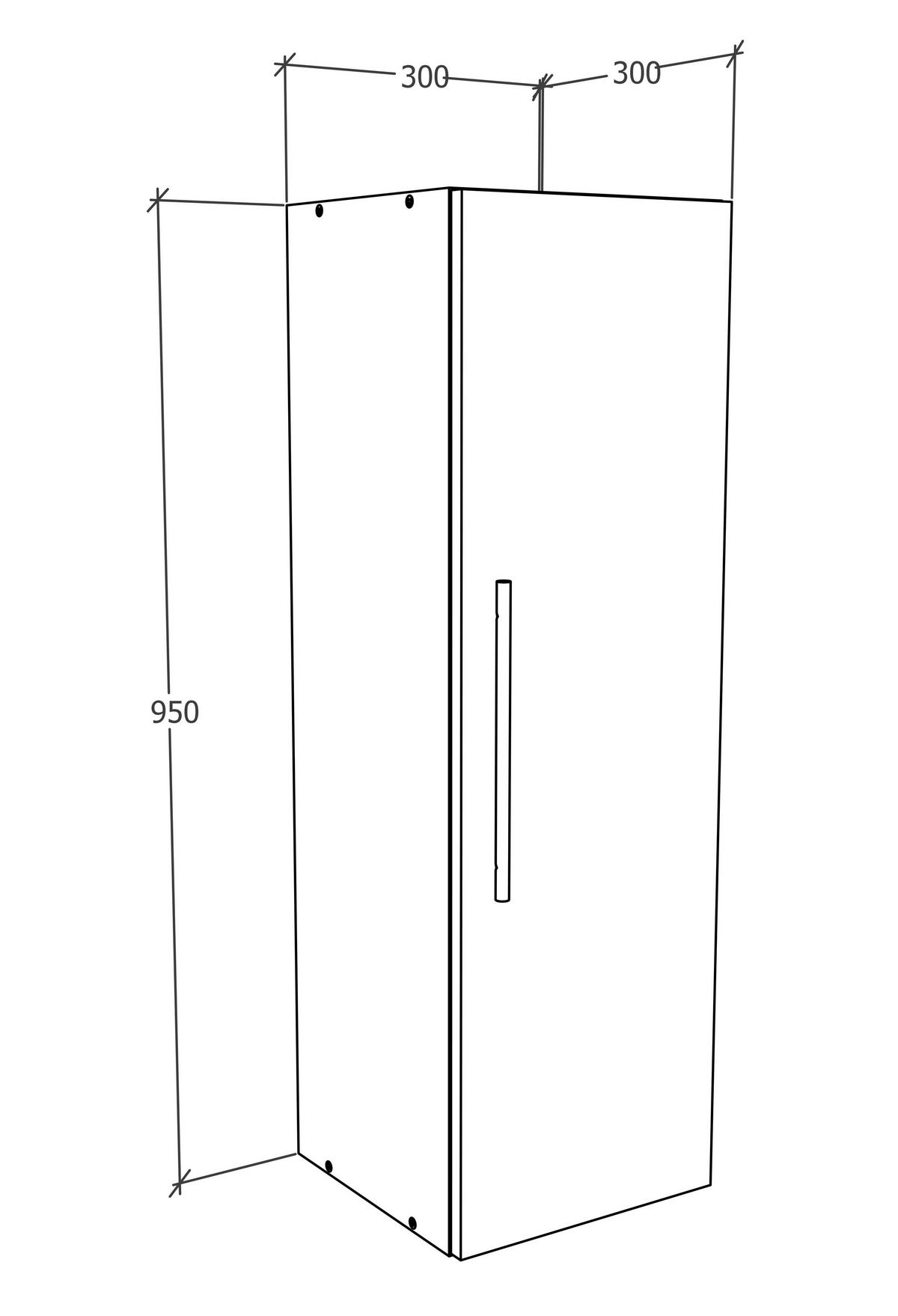 Závěsná skříňka Arila š: 30 cm, antracitová - černá/antracitová, Moderní, kov/kompozitní dřevo (30/95/30cm) - MID.YOU