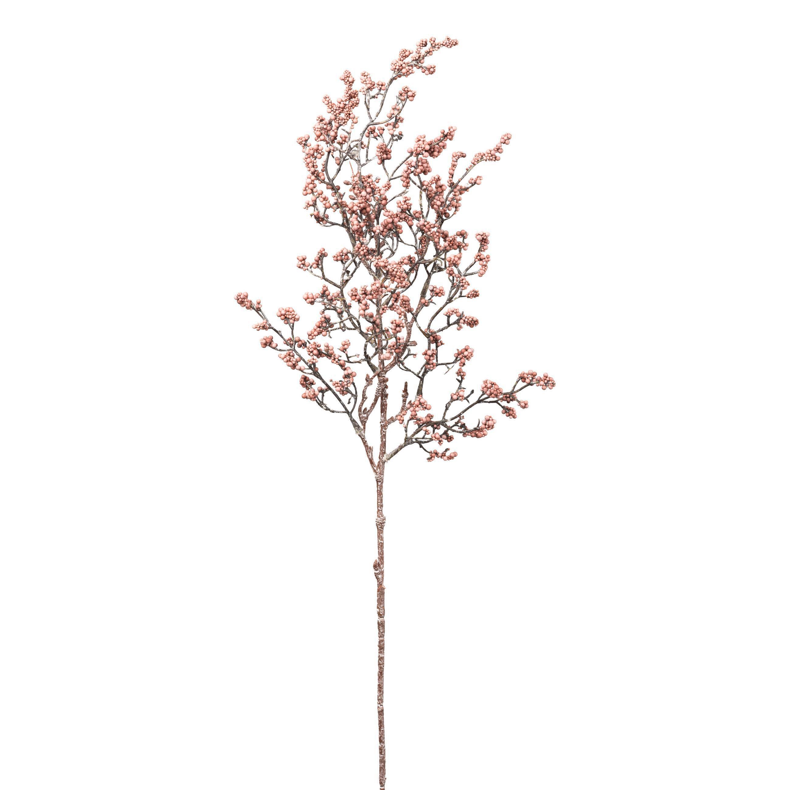 Umelá rastlina BEERENZWEIG I - prírodná farba/hnedofialová, Basics, plast (70cm) - Mömax