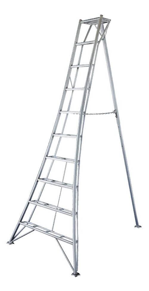 Leiter 3-Holm-Gartenleiter 300cm - Silberfarben, Basics, Metall (231/300/147cm)