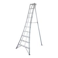 Leiter 3-Holm-Gartenleiter 300cm - Silberfarben, Basics, Metall (231/300/147cm)
