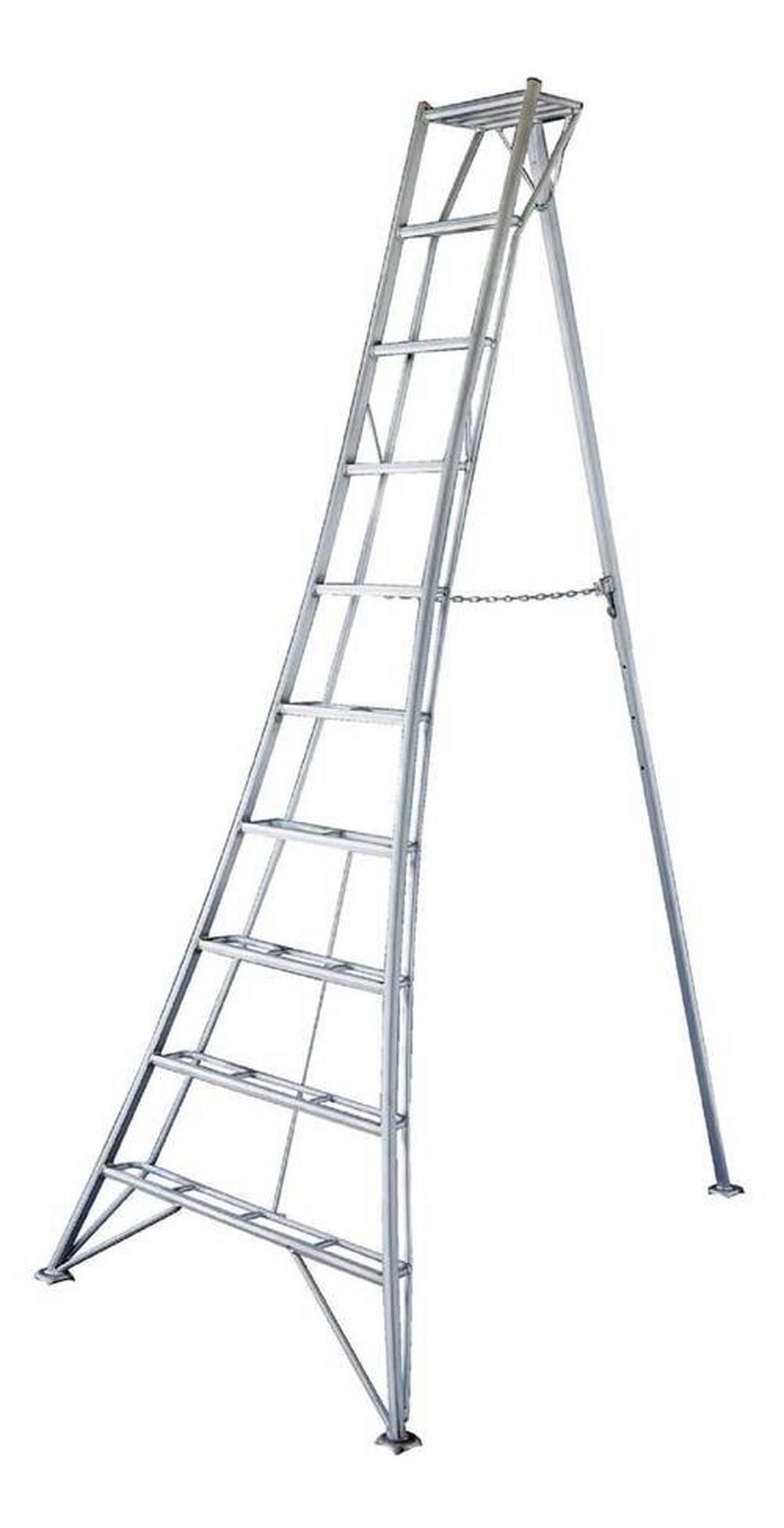 Leiter 3-Holm-Gartenleiter 300cm - Silberfarben, Basics, Metall (231/300/147cm)