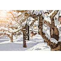 Vogelfuttersäule Saat D/H ca. 13,5x35cm - Schwarz, Basics, Metall (13,5/35cm) - Windhager