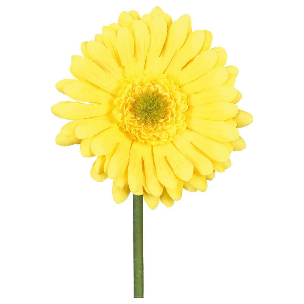 Umělá květina GERBERA, Výška: 50cm - zelená/žlutá, Konvenční, plast (50cm) - Mömax
