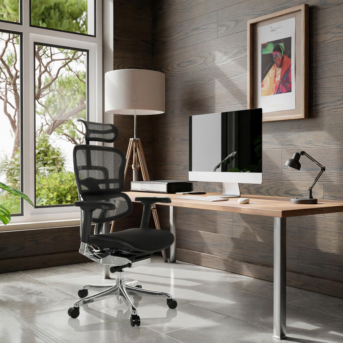 Drehstuhl Ergohuman Gen2 Schwarz B: 78 Cm - Silberfarben/Schwarz, MODERN, Kunststoff/Textil (78/117 - 136/64cm) - MID.YOU