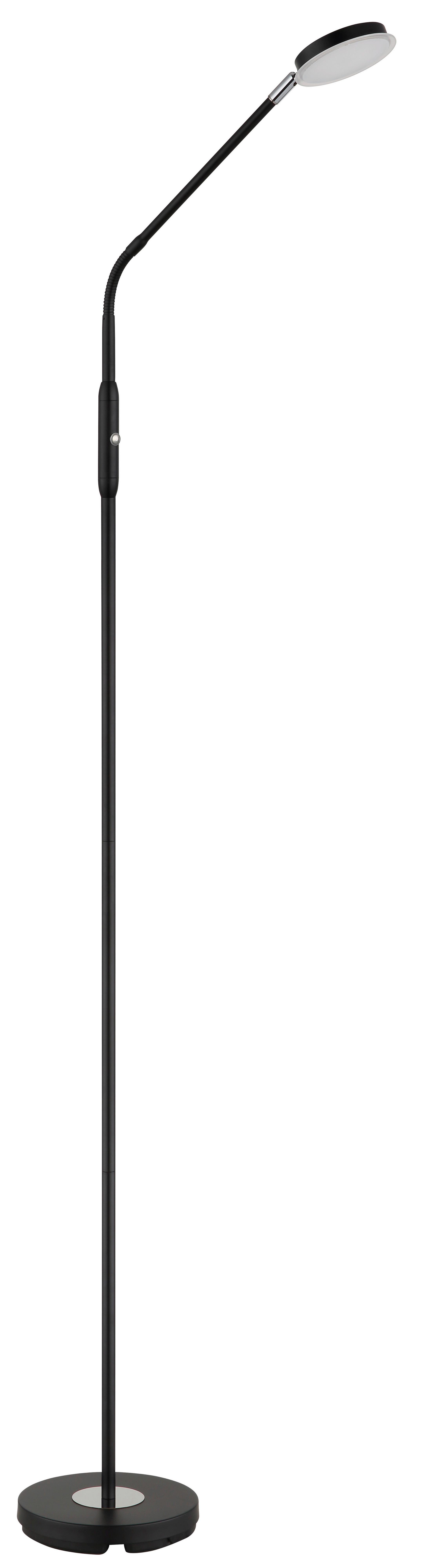 STOJACÍ LED LAMPA SILVIO - černá/čiré, Design, kov/plast (52/20/173cm)