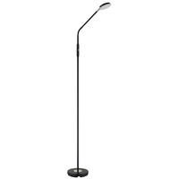 STOJACÍ LED LAMPA SILVIO - černá/čiré, Design, kov/plast (52/20/173cm)