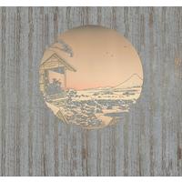Fototapete Rsx6-036 Land Of Gold - Goldfarben/Braun, Trend (300/280cm)