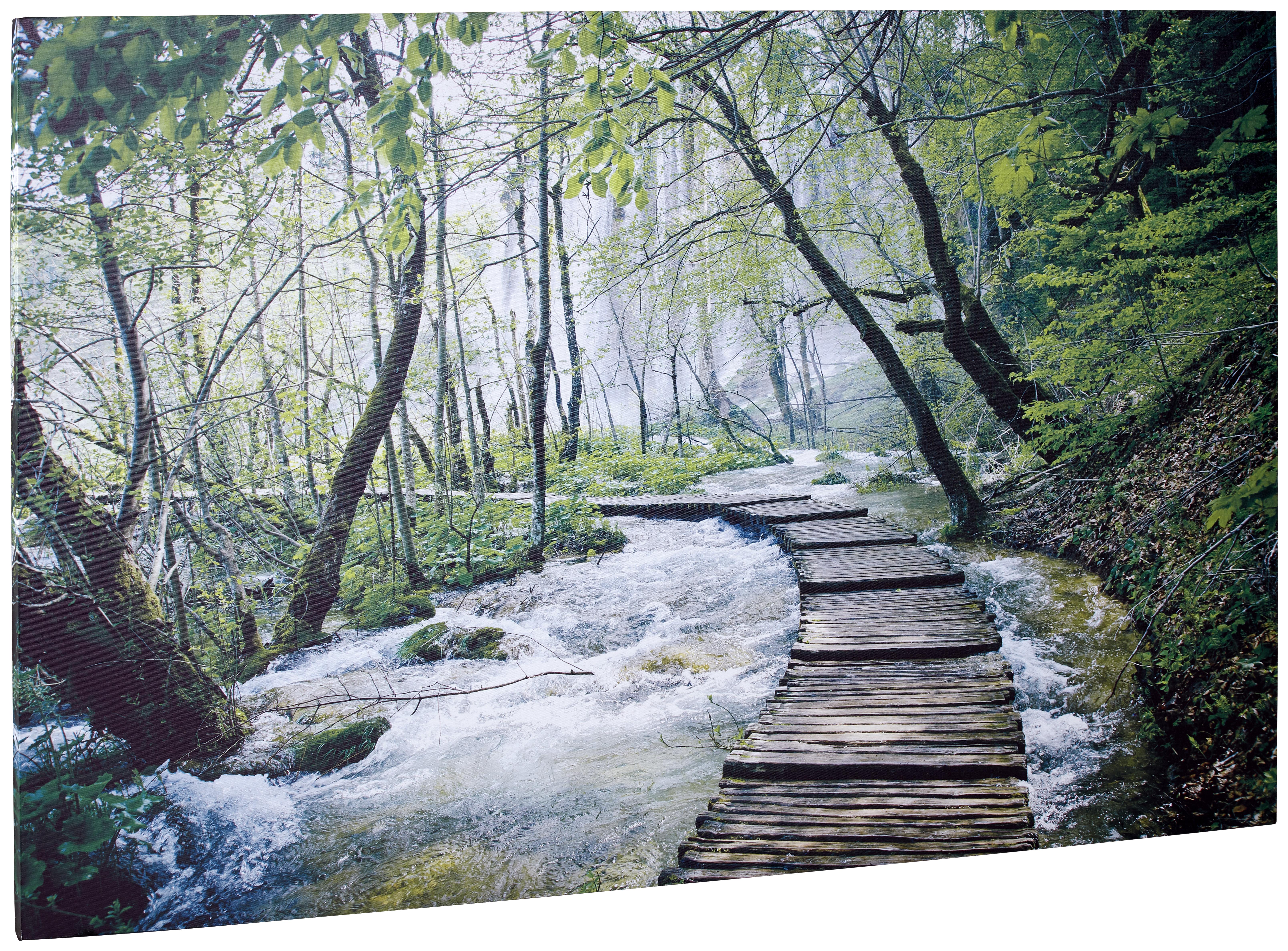 Leinwandbild Carletta Versch. Naturmotive 116x78 Cm - Multicolor/Naturfarben, Basics, Holz/Textil (116/78/2,3cm) - Luca Bessoni