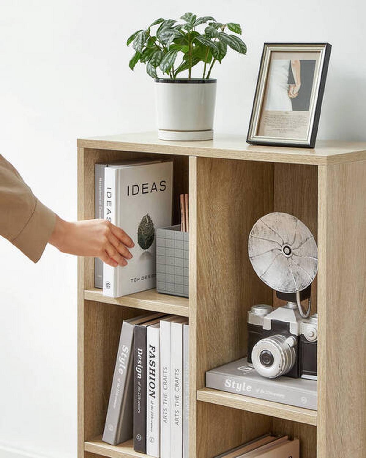 REGAL Regal Sonoma Eiche B: 50 cm - Sonoma Eiche, Basics, Holzwerkstoff (50/80/24cm) - Boxxx