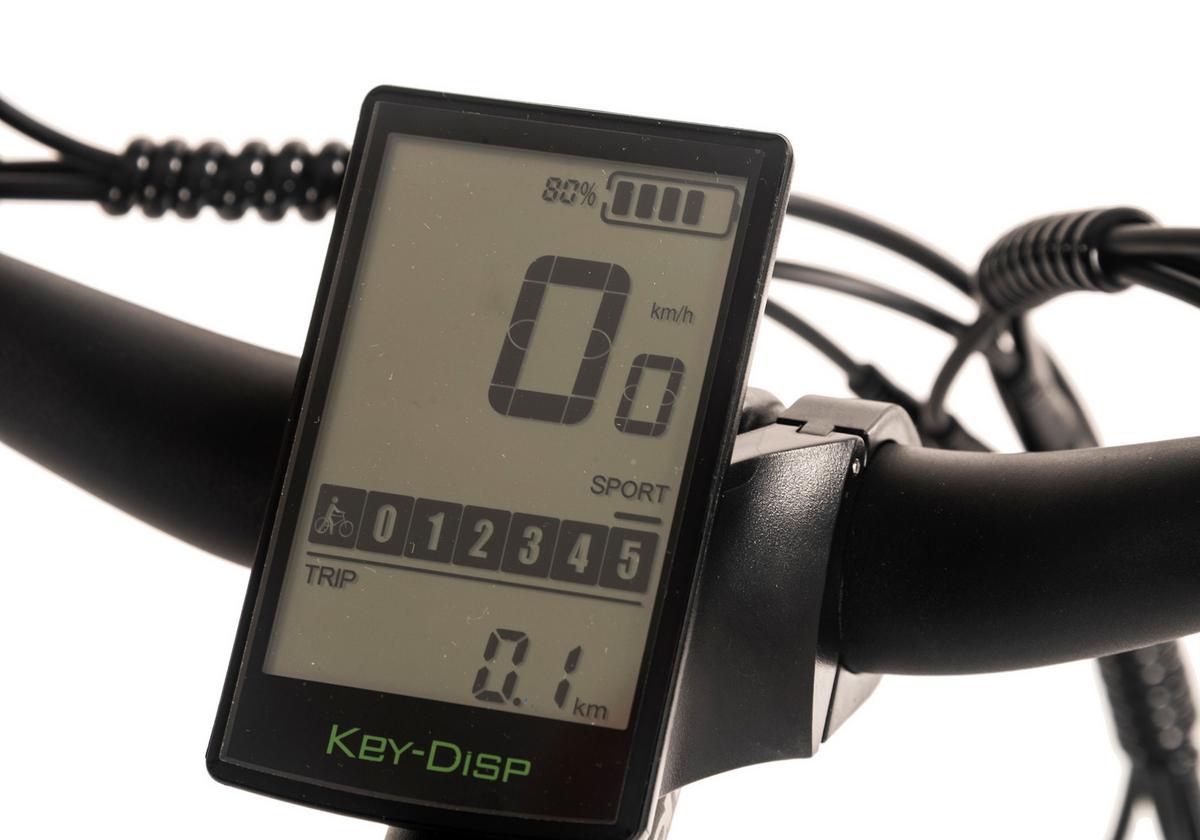 E-citybike 20 Zoll Schwarz - Schwarz, LIFESTYLE, Metall (180cm)