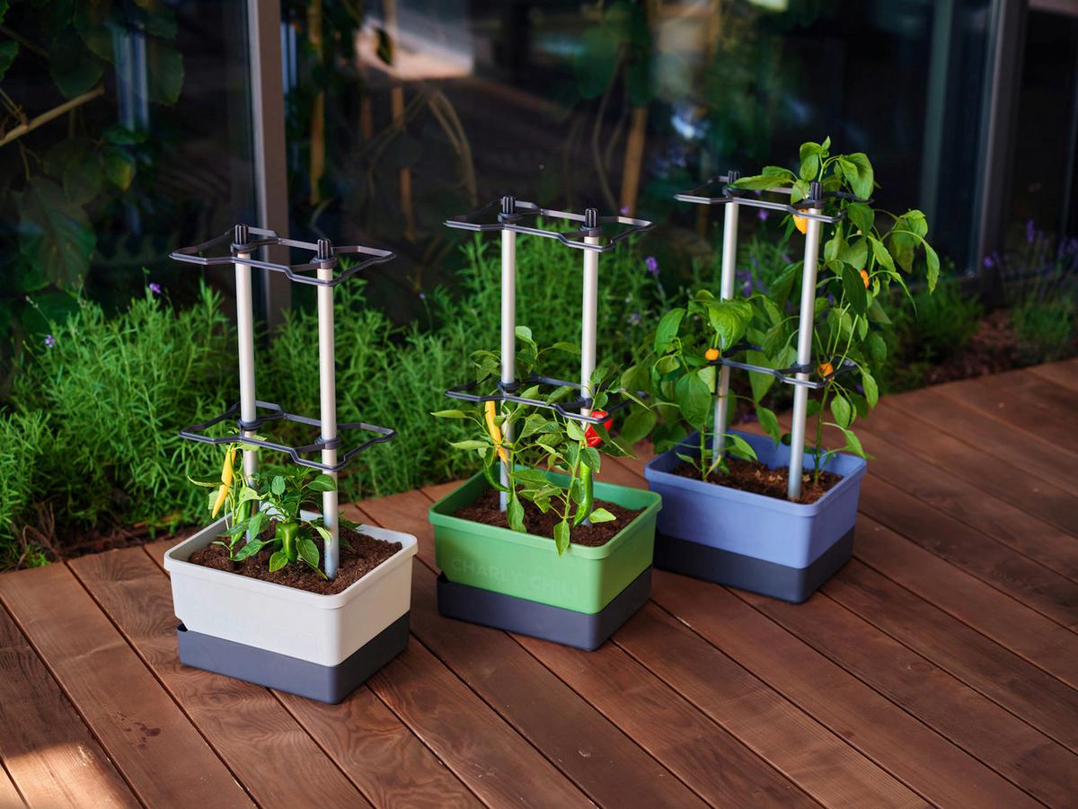 Pflanztopf grau/Hellgrau - Hellgrau/Grau, Basics, Kunststoff (34,5/69/27,5cm) - Gusta Garden