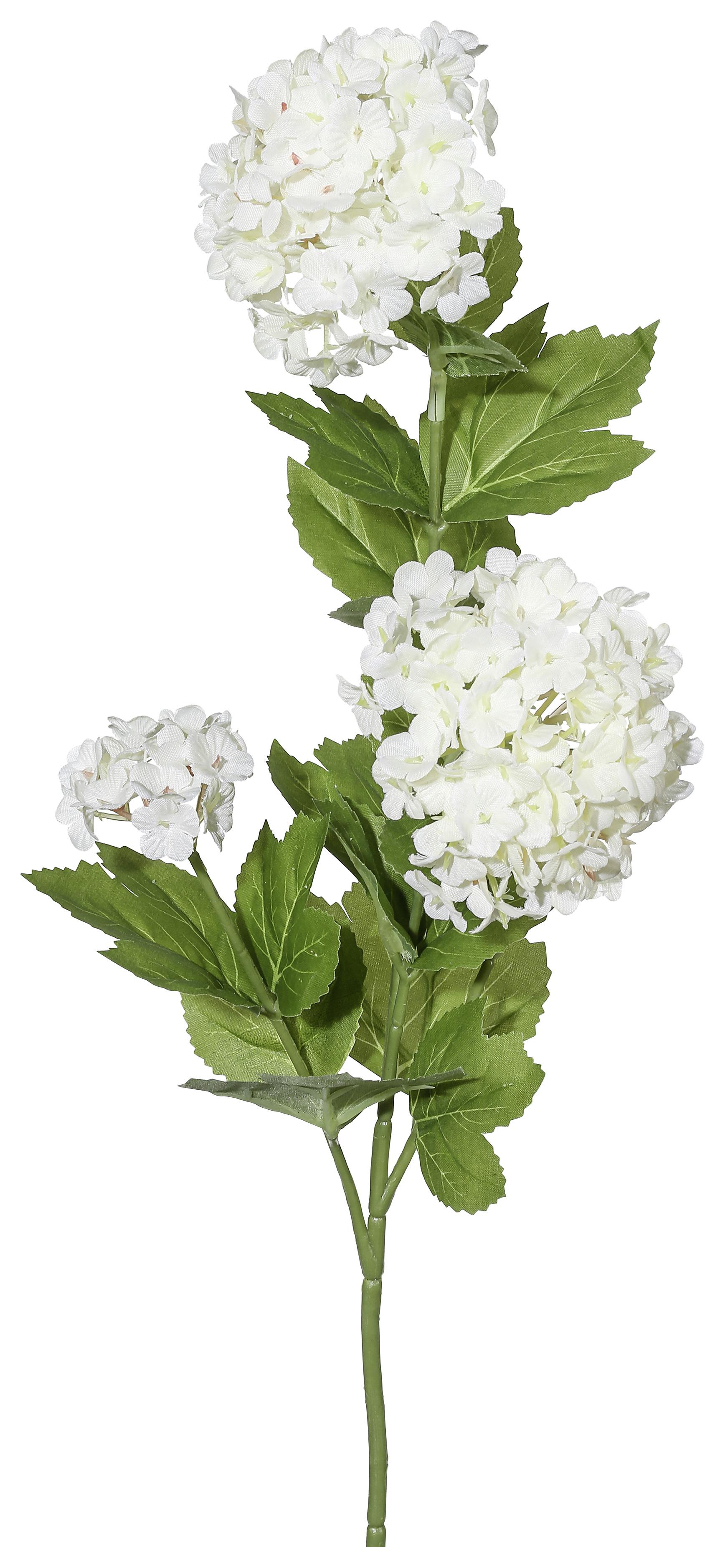 Kunstpflanze Schneeballzweig Creme/Grün L:. 61cm, Elia - Creme/Grün, KONVENTIONELL, Kunststoff (61cm)