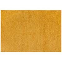 Hochflorteppich Lina - Gelb, Basics, Kunststoff (120/170cm) - Luca Bessoni