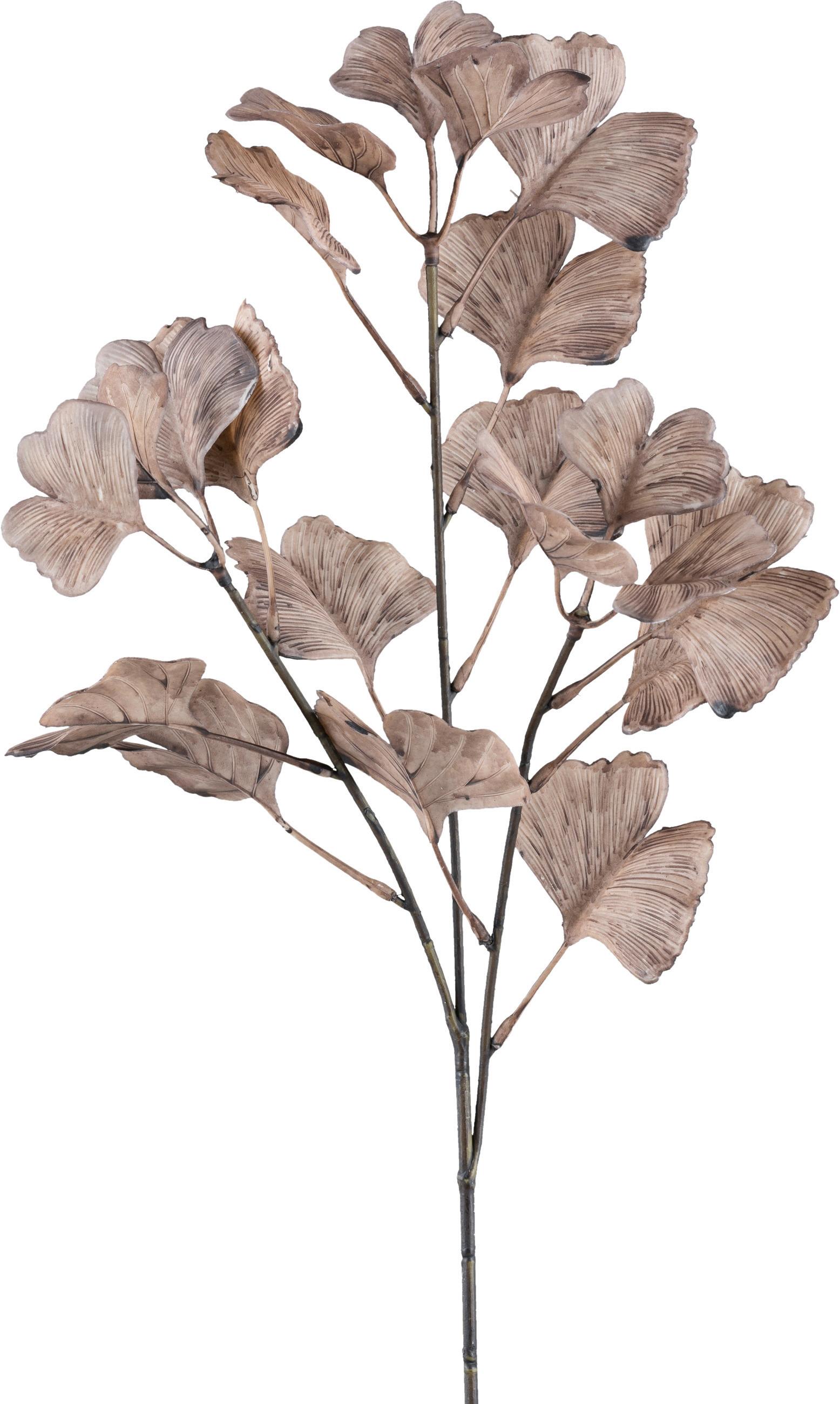 DEKORAČNÍ VĚTVIČKA GINKOZWEIG I -PAZ- - hnědá, Konvenční, plast (62cm) - Modern Living