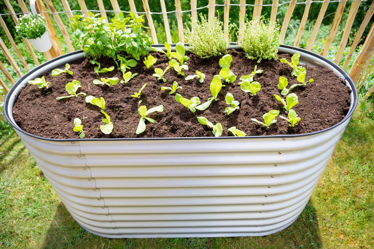 Hochbeet Metall Hochbeet Oval 160 Cm - Silberfarben, Basics, Metall (160/82/80cm)