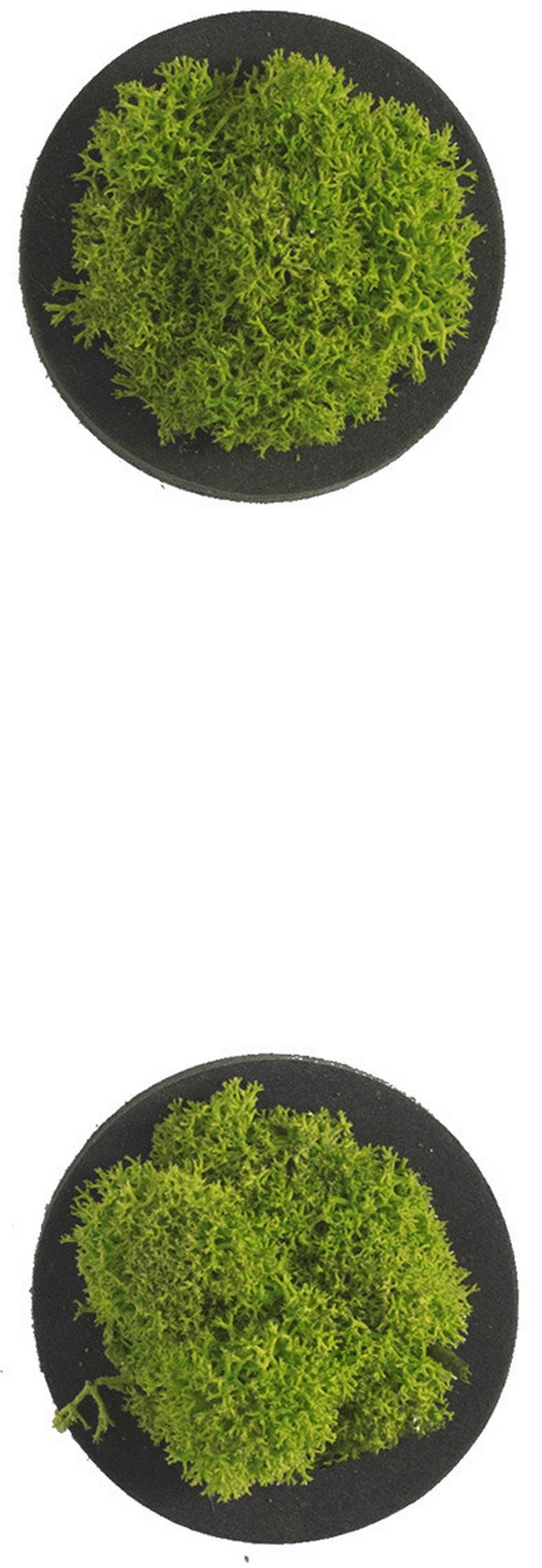 Moosbild Grün B: 4 cm - Schwarz/Grün, Basics, Naturmaterialien/Holz (4/4/3,5cm)