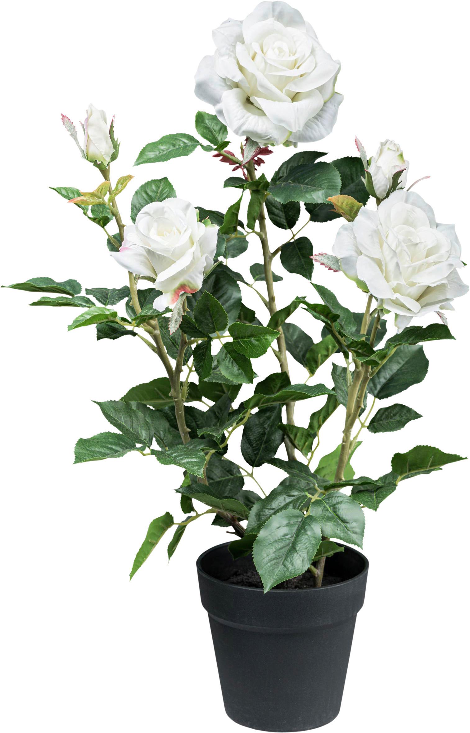 Kunstpflanze, Bonsai inkl. Topf, H: 58 cm - Schwarz/Weiß, Design, Keramik/Kunststoff (58cm) - P & B