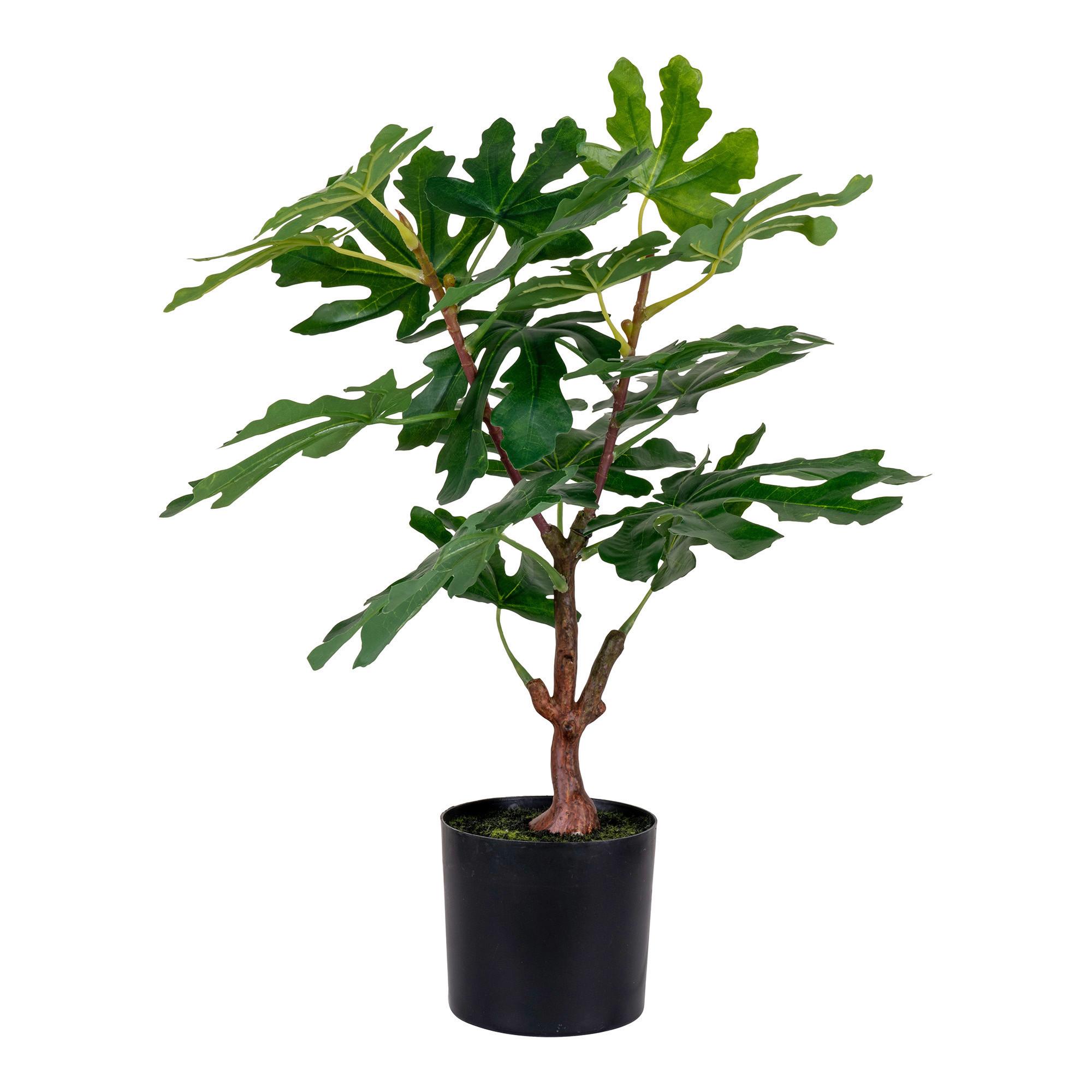 Kunstpflanze Fig Grün B: 40 cm - Grün, Design (40/60/40cm)