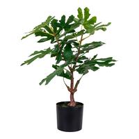 Kunstpflanze Fig Grün B: 40 cm - Grün, Design (40/60/40cm)