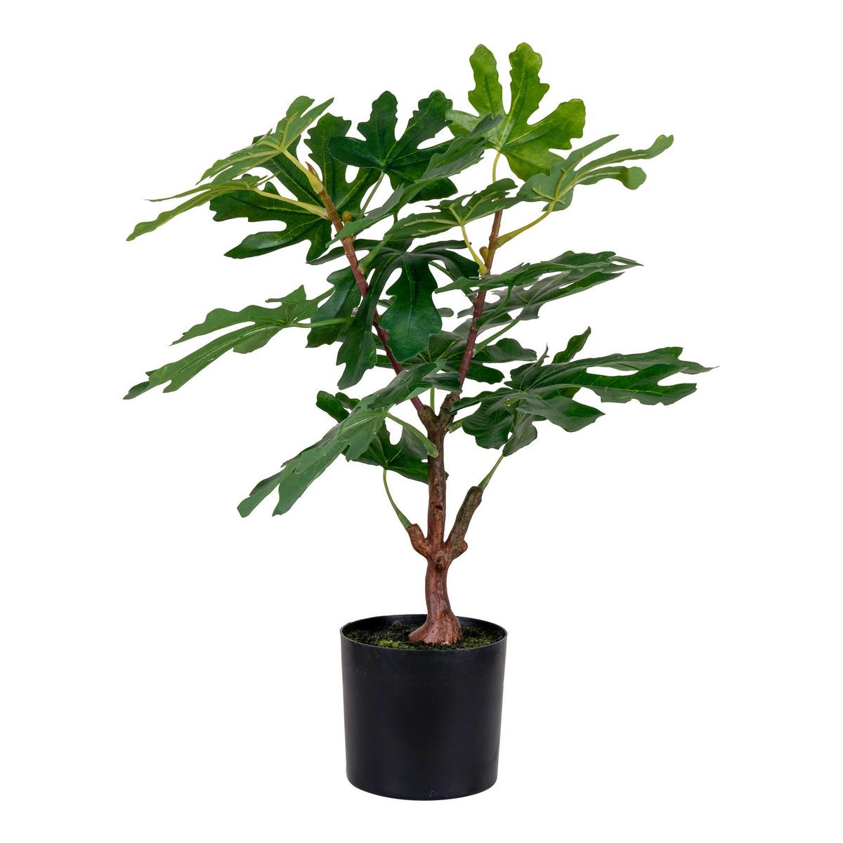 Kunstpflanze Fig Grün B: 40 cm - Grün, Design (40/60/40cm)