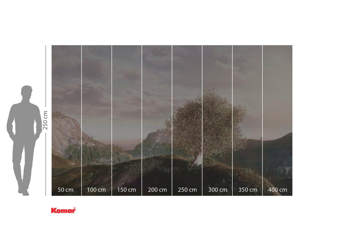 Vliestapete Lieu Magique - Multicolor, Basics (400/250cm) - Komar