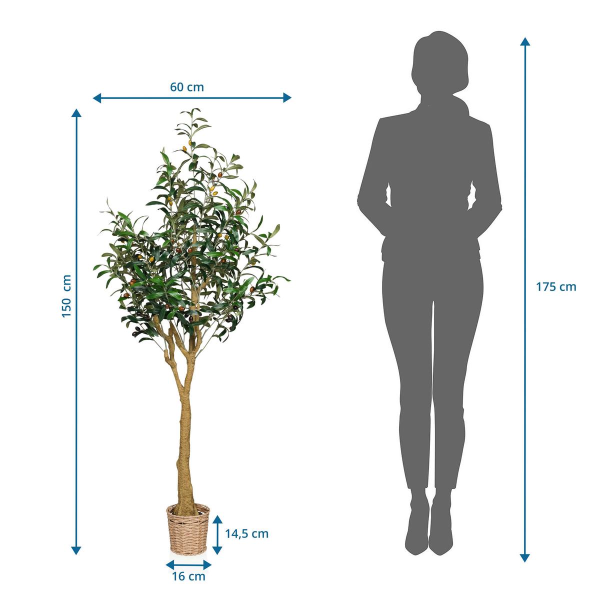 Kunstpflanze Grün/Hellbraun B: 60 cm - Hellbraun/Braun, MODERN, Kunststoff (60/150/60cm) - MID.YOU