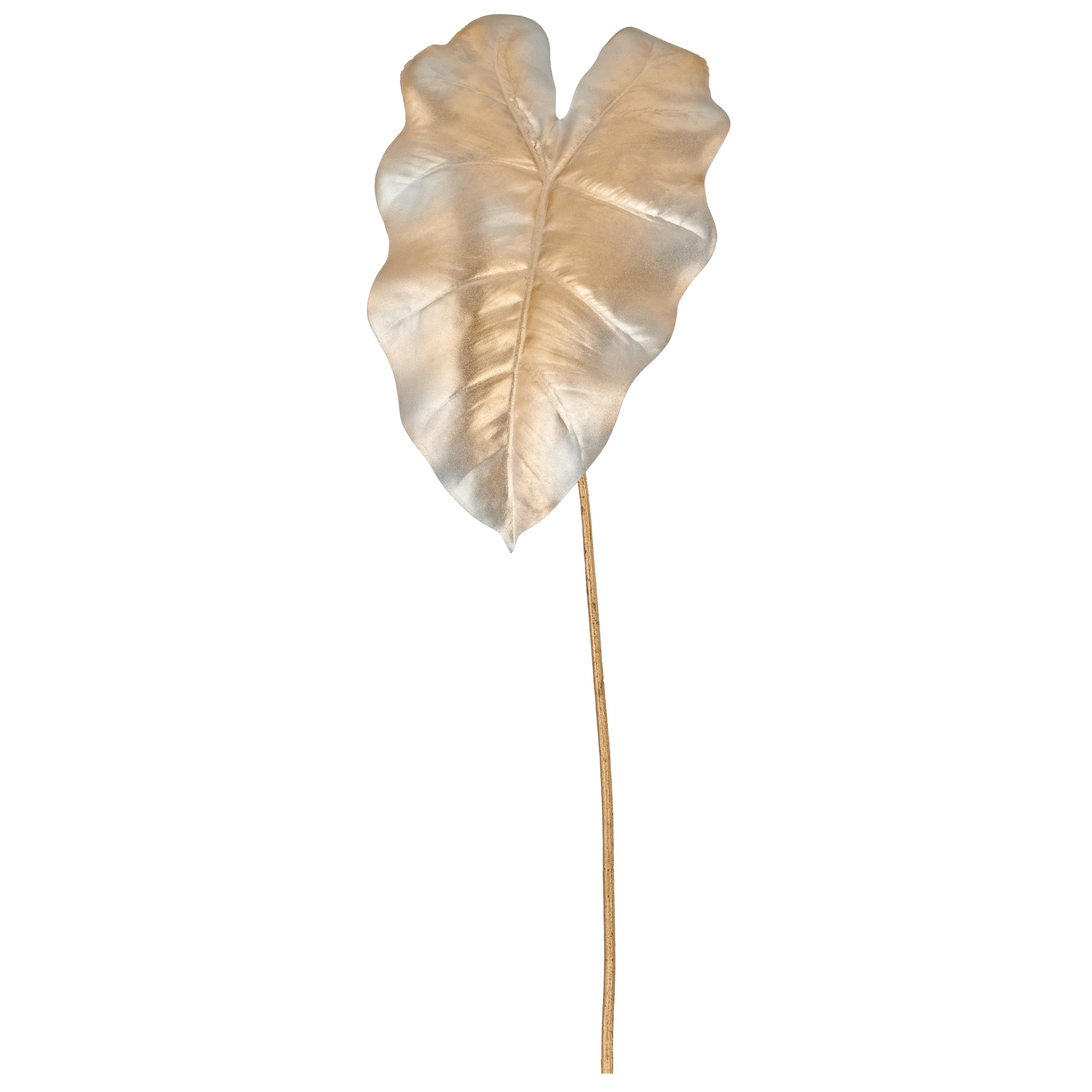 Kunstpflanze Caladium - Champagner, Basics, Kunststoff (67cm) - Sony