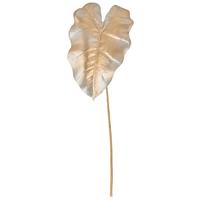 Kunstpflanze Caladium - Champagner, Basics, Kunststoff (67cm) - Sony