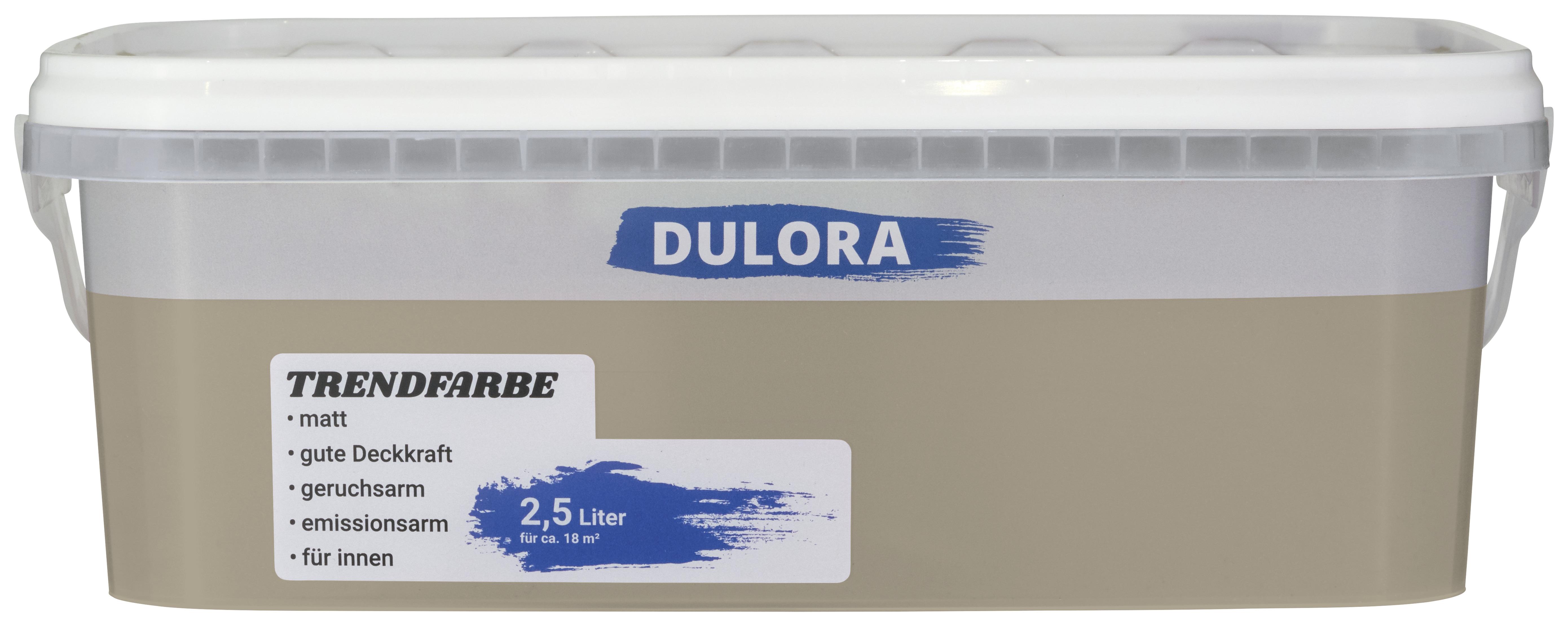 Wandfarbe Dulora 2,5 Liter Erde