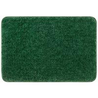 Fürdőszobaszőnyeg Chiara Kb. 70/120cm - zöld, Modern, textil (70/120cm) - Luca Bessoni
