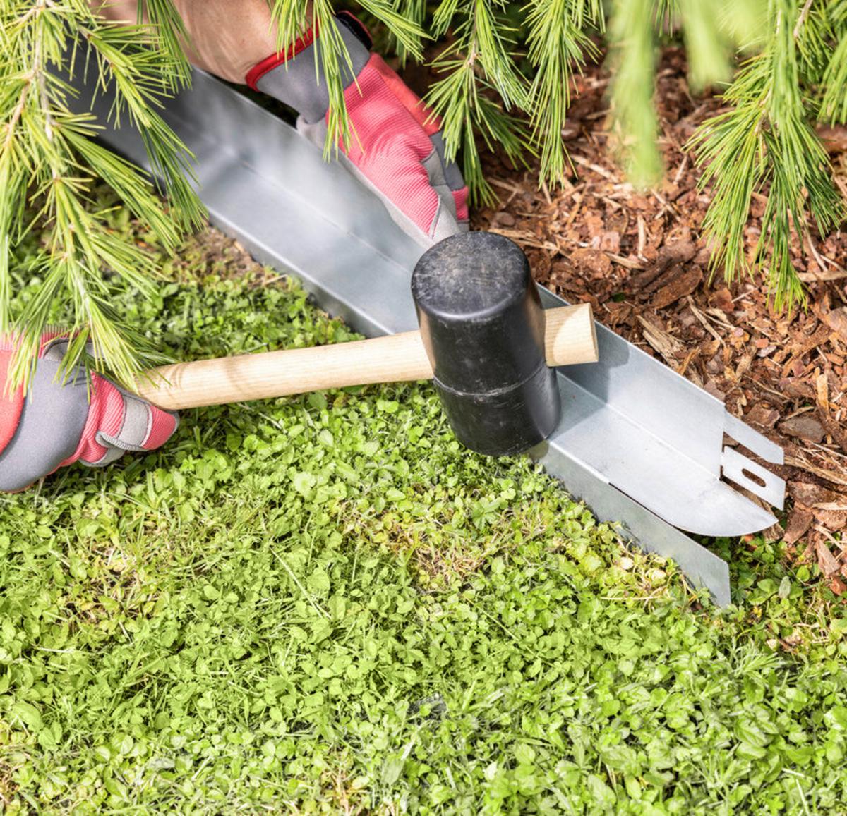 Rasenkante Mähkante Easycut - Silberfarben, Basics, Metall (4/11/80cm) - Windhager