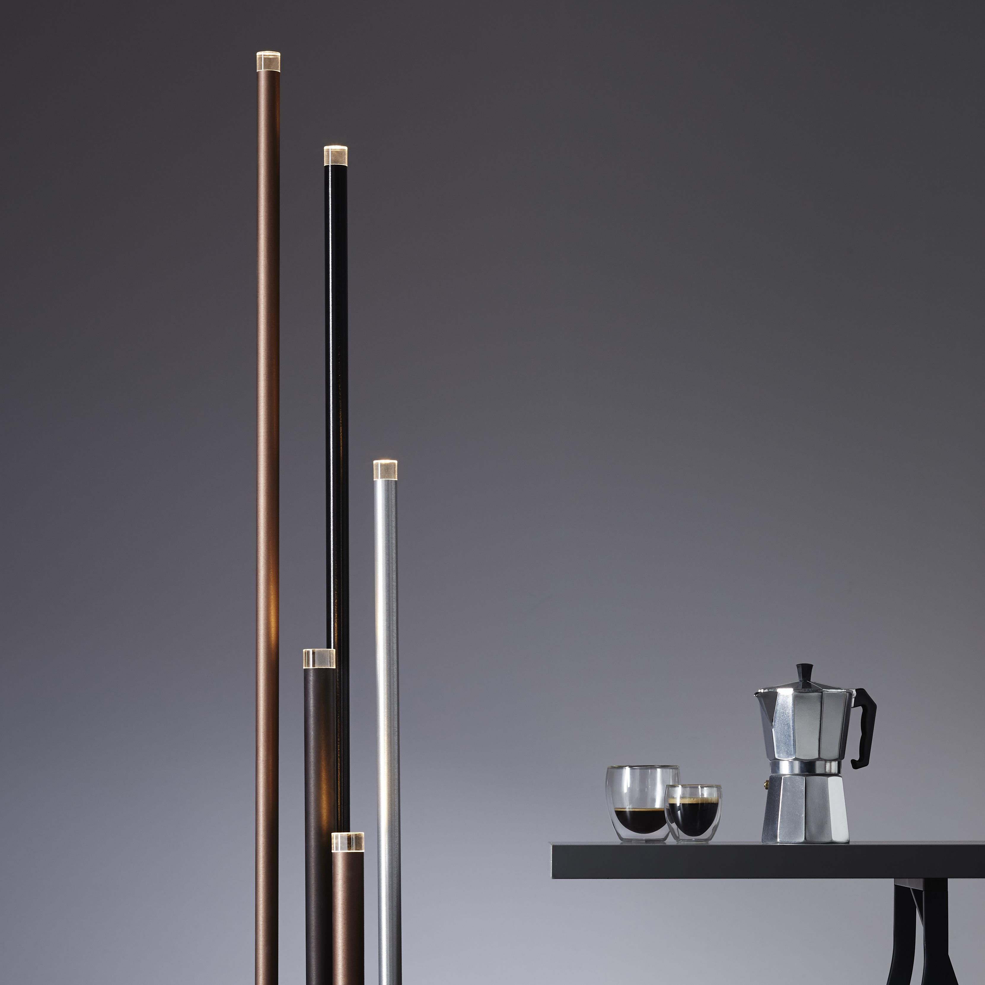 Led-stehleuchte G93771/21 Cembalo - Schwarz/Alufarben, Trend, Kunststoff/Metall (27,5/155,3cm)