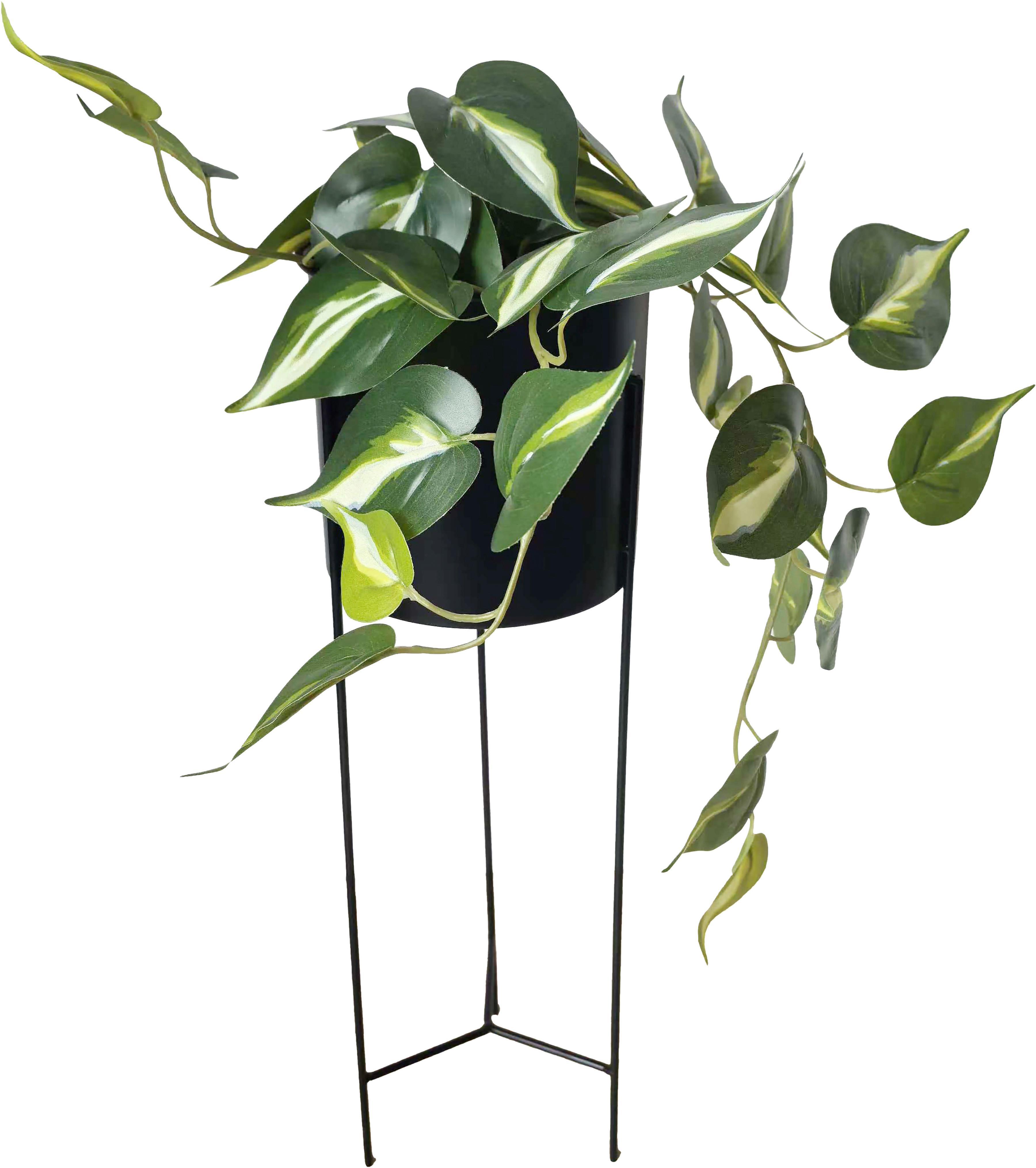 Umelá rastlina GARY - čierna/svetlozelená, kov/plast (16/63cm) - Mömax