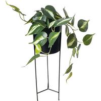 Umelá rastlina GARY - čierna/svetlozelená, kov/plast (16/63cm) - Mömax