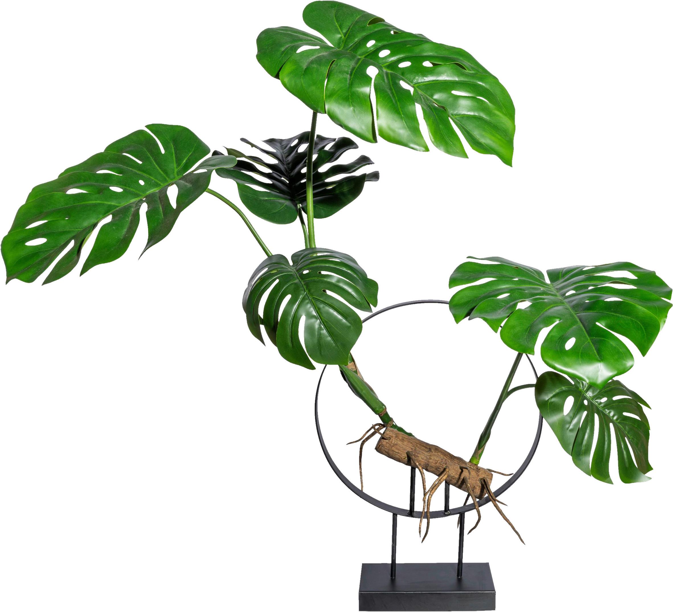 Kunstpflanze Split Philodendron - Braun/Grün, Design, Kunststoff (100cm) - P & B
