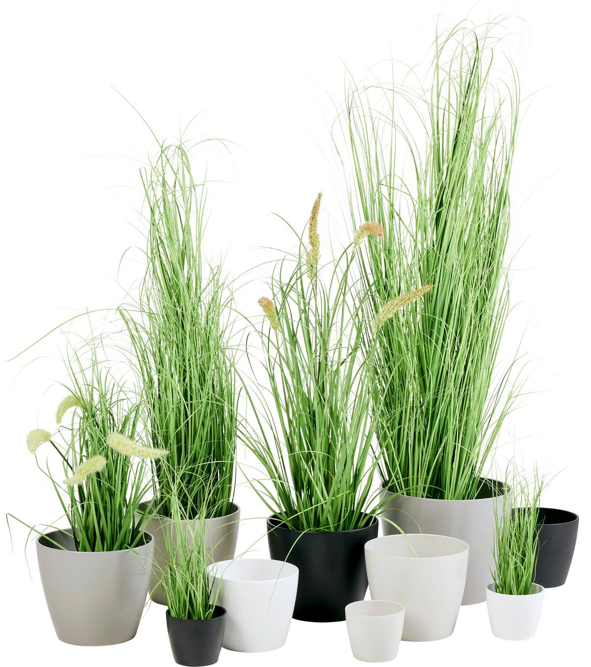 Obal na kvetináč Luisa - čierna/sivá, Modern, keramika (12/10cm) - Based