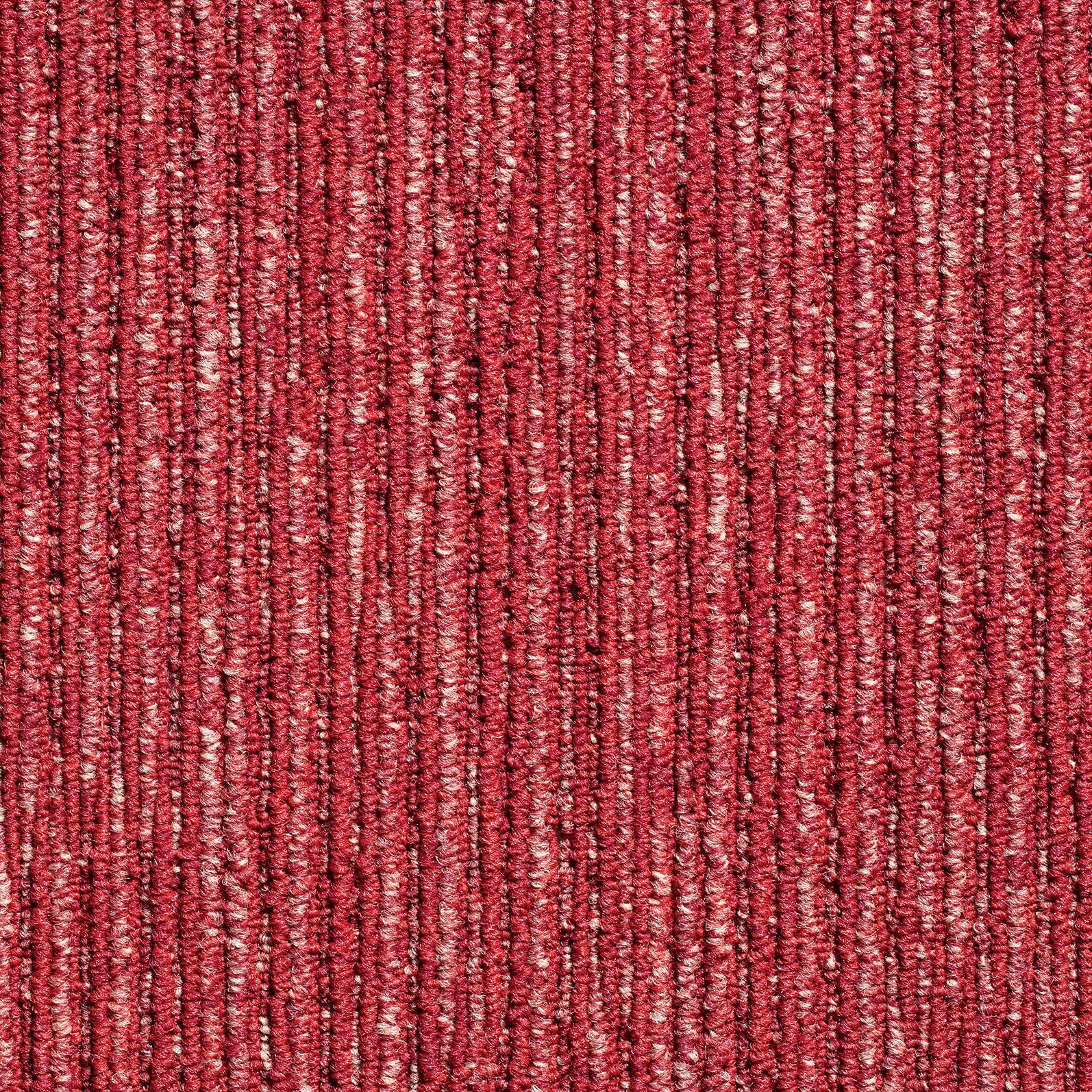 Teppichfliese Rot Ambition 50x50 cm Florhöhe 3 mm - Rot, Basics, Textil (50/50cm)
