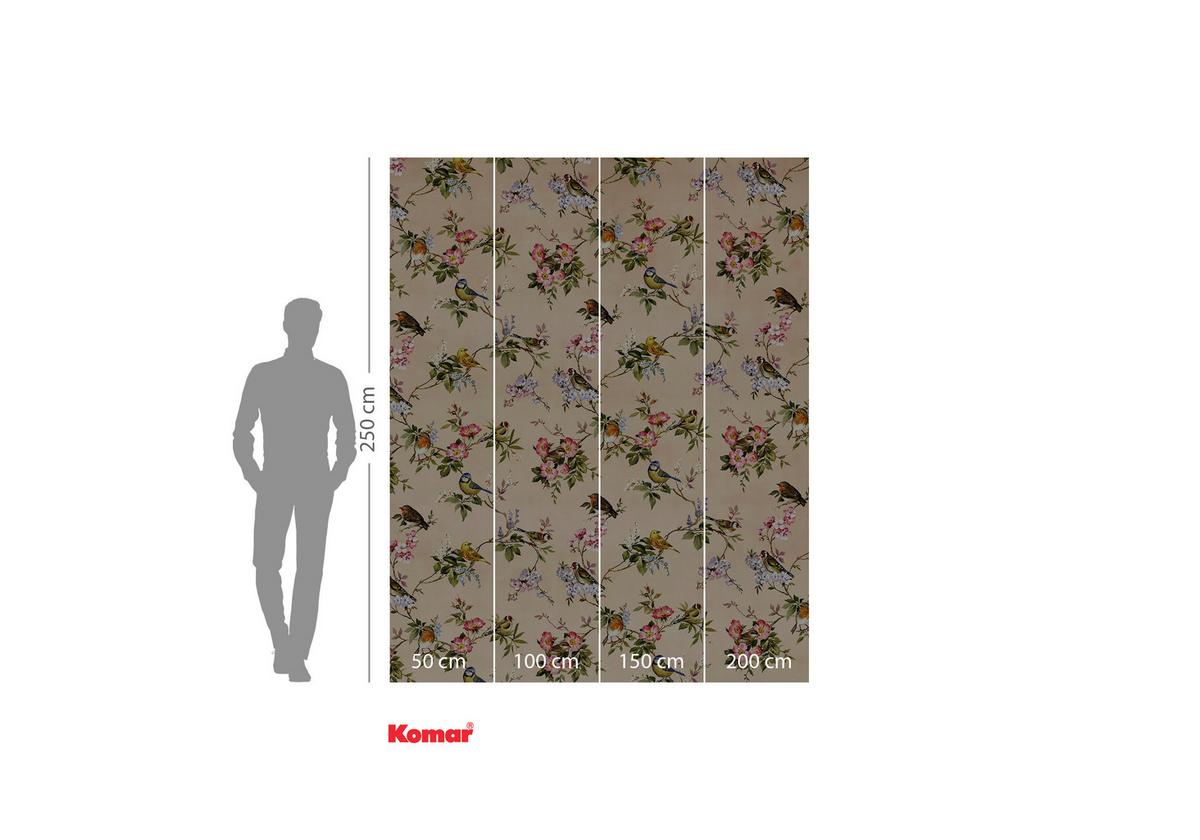 Vliestapete Concert De Demain - Multicolor, Basics (200/250cm) - Komar