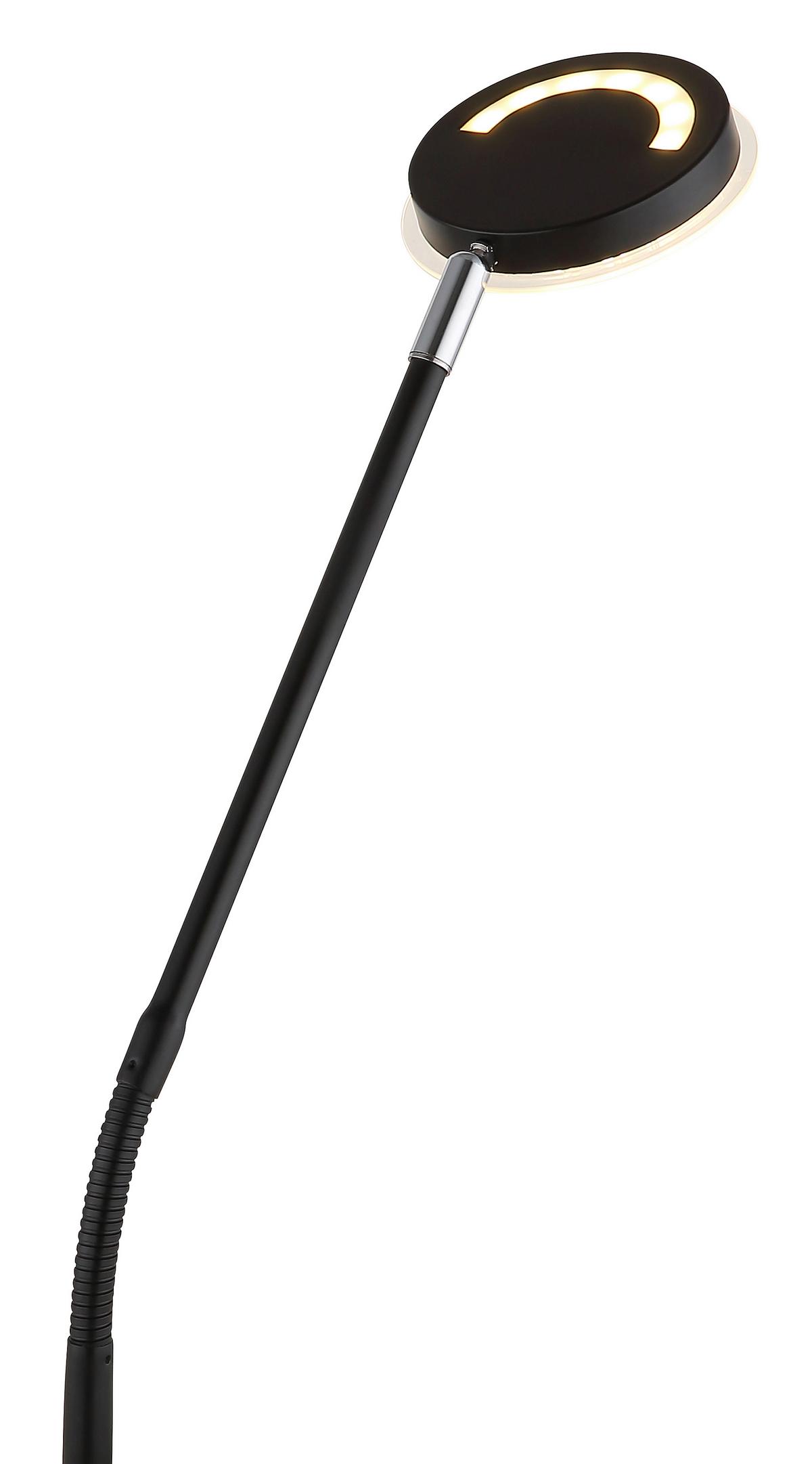 STOJACÍ LED LAMPA SILVIO - černá/čiré, Design, kov/plast (52/20/173cm)