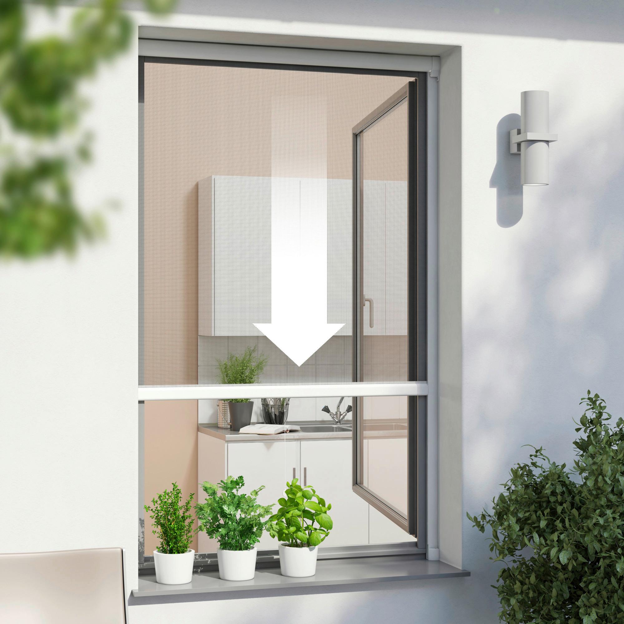 Fliegengitter 160x160 cm Weiß Kürzbar - Weiß, Basics (160/160cm)