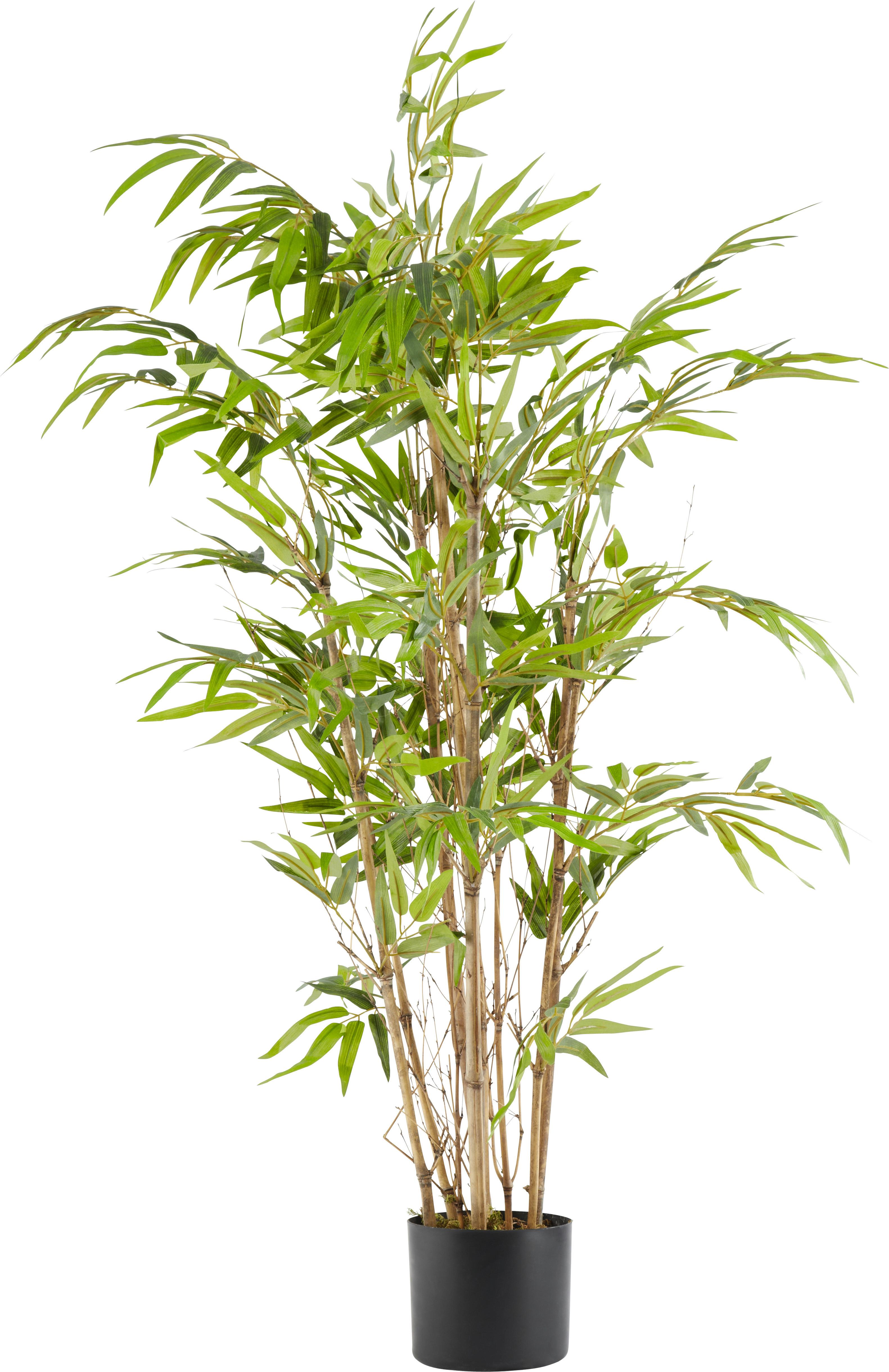 UMĚLÁ ROSTLINA NOAH - zelená/hnědá, plast (120cm) - Modern Living