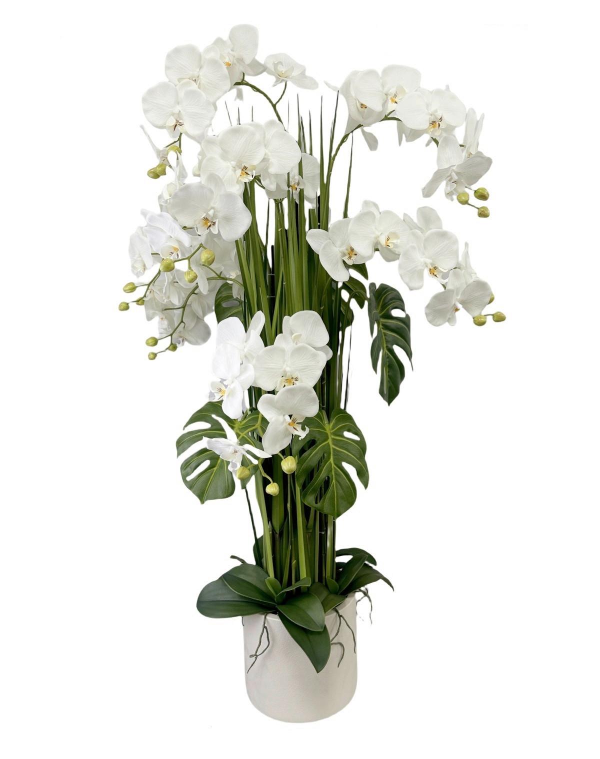 Orchidee Renate - Weiß/Grün, KONVENTIONELL, Kunststoff/Textil (23/120cm) - Luca Bessoni